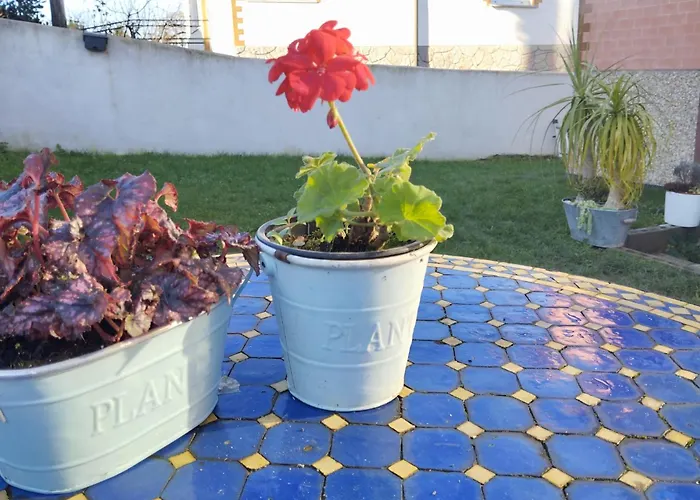 בית נופש El Hogarin De Veronica גיחון