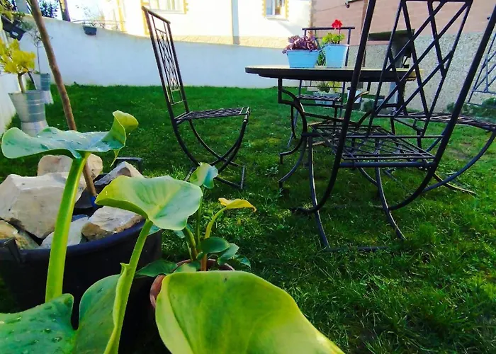 El Hogarin De Veronica *